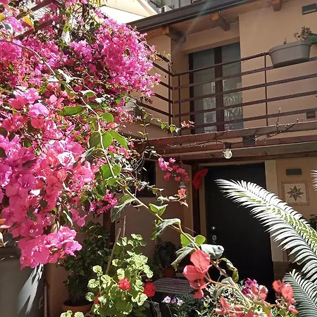 Mizzicahome Solemare