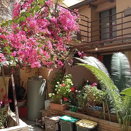 Guest house Mizzicahome Solemare